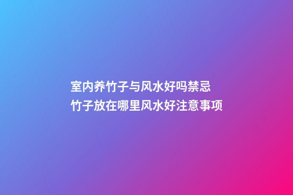 室内养竹子与风水好吗禁忌 竹子放在哪里风水好注意事项